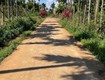 Bán 3 lô liền kể cách chợ chỉ 1km, có bán lẻ 