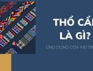 Thổ Cẩm Là Gì  Lời Giải Mã Về Di Sản Văn Hóa Của Đồng Bào Vùng Cao...