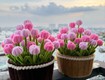 Quà Handmade   Món Quà Nhỏ Chứa Đựng Sự Chân Thành 