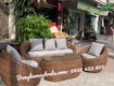 Sofa sò mây nhựa