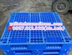 Phân Phối Pallet Nhựa Lâm Đồng Giá Rẻ Nhất Khu Vực   Giao Tận Nơi 