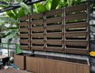 Chậu cây gỗ nhựa Ecowood cho sân vườn. 