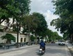 Bán đất biệt thự khu Trường An, mặt đường Trần Nguyên Đán, TP HD, 250m2, mt 12.5m 
