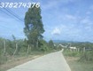 Chính chủ cần bán 8.189m  đất xã tân định, khánh hòa, giá đầu tư chỉ 330.000vnđ/m 