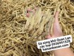 Cần bán sá sùng quảng ninh giá tốt 