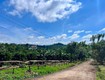Bán đất nam hà 1.000m  hai mặt tiền   có sẵn cà phê...