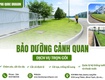 Dịch vụ chăm sóc cảnh quản uy tín   nhanh chóng   giá rẻ 
