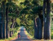 Trải nghiệm dịch vụ cho thuê xe điện giúp hành trình di chuyển dễ dàng...