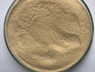 Men vi sinh đơn dòng bacillus licheniformis 