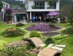 Cho thuê villa sân vườn 12 phòng ngủ gần đèo pren đà lạt 35tr/tháng 