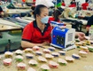 Khởi nghiệp kinh doanh đồ da với vốn linh hoạt   Nguồn hàng giá xưởng 