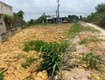 253m  thổ cư 100   bàu công, ấp lập điền, tân mỹ, đức hòa, long an...