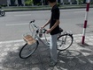 Xe đạp nữ prretty cho nữ 