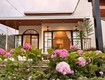 Bán villa mini mê linh 239m    nhà mới hoàn thiện, sổ riêng,...
