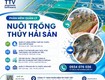 Phần mềm quản lý nuôi trồng thủy sản ttv