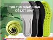 Thủ tục nhập khẩu đế lót giày
