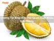 Chứng từ khai báo hải quan xuất khẩu sầu riêng