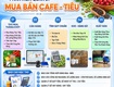 Phần mềm quản lý thu mua cà phê hồ tiêu