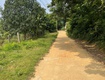 Đất phượng lâu   view đầm siêu đẹp   đường 2 ô tô tránh nhau 
