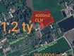 Bán lô đất cây hàng năm khác giá rẻ 1,2 tỷ 