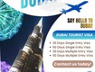Jashan tourism : dubai tourist visa 