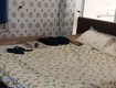 Góc mặt tiền tiểu la, 40m2, ngang 5m, 2.5 tầng, 8.x tỷ 
