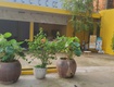 Chính chủ cho thuê mặt bằng kinh doanh và nhà ở hơn 500m    vị trí...