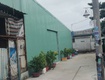 Cho thuê kho xưởng 12 x 20,  2 MT hẻm Đường Nguyễn Thị Tú, Bình Tân 