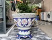 Cơ sở chậu hoa thế sơn   chậu hoa dán sành sứ  ...