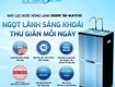 Máy lọc nước RO cao cấp nóng lạnh nguội Tadashi TAD NLN10XD 