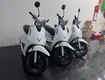 Cho thuê xe máy điện vinfast evo 50cc da nang motorbike 