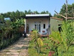 Hot hot   chính chủ cần bán nhà vườn tại thôn an thành, xã duy trung, duy...