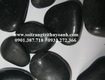 Sỏi bóng thùy oanh 