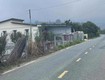 Bán đất thổ vườn có cây ăn trái   đất chính chủ tại xã d ran, lâm...