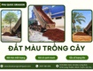 Bán đất màu trồng cây chất lượng, giá tốt, giao hàng nhanh khu vực Đồng Nai 