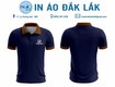 Áo thun đồng phục Ali Tùng Lâm 