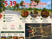 Con đường hoa lộc vừng   cửa ngõ vào phố cổ hội an 
