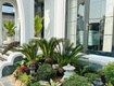 Bán biệt thự sân vườn khu đốc ngữ, ô tô vào nhà, 141m, nhỉnh 41 tỷ 