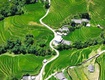 Mảnh Đất 1.235m  Tại Bản Tả Van   View Ruộng Bậc Thang Đẹp Mê Hoặc 