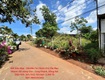 Đất siêu đẹp   giá đầu tư chính chủ cần bán nhanh đất hàng gòn long khánh,...