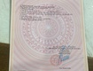 Chính chủ bán đất tam dương   tỉnh phú thọ 
