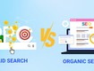 Organic search là gì hướng dẫn tối ưu cho người mới bắt đầu