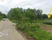 Cặp đất thổ cư liền kề 390,5m  mặt tiền 12m, sát chợ, đt317, cổng kho, tu vũ,...