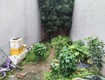 Nhỏ xinh, vừa túi 44m2, mt4m, 2.55 tỷ, gần phố, nguyên khê, đông anh. 