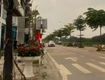 Chính chủ cần bán gấp đất mặt đường khu đấu giá Tam Hiệp, Thanh Trì, Hà Nội 