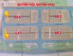 Cc chào bán 2 lô đất xây biệt thự   dự án tân hoá quỳnh hội ...