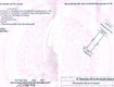 Bán lô đất đường bàu nghè 2   gần trường thpt phạm phú thứ 