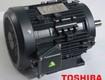 động cơ điện toshiba