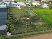 H2644 đất mt xuân thới sơn 6 hóc môn 6362m2 vuông đẹp, giá...