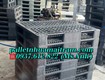 Pallet nhựa trảng bom chuyên kê kho giá cực hạt dẻ, giao tận...